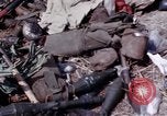 Immagine di Corpi morti dei vietcong Il Vietnam, 1968, secondo 24 filmato di repertorio 65675052308