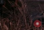 Immagine di I soldati americani in azione nel corso dell'offensiva del Tet Long Binh Vietnam, 1968, secondo 58 filmato di repertorio 65675052311