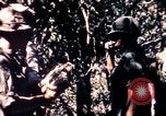 Standbild USA 25th Infantry Division Vietnam, 1967, aus Sekunde 23 historischem Filmmaterial Videoclip 65675052325
