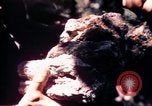 Standbild USA 25th Infantry Division Vietnam, 1967, aus Sekunde 26 historischem Filmmaterial Videoclip 65675052325