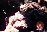 Standbild USA 25th Infantry Division Vietnam, 1967, aus Sekunde 27 historischem Filmmaterial Videoclip 65675052325