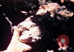 Standbild USA 25th Infantry Division Vietnam, 1967, aus Sekunde 28 historischem Filmmaterial Videoclip 65675052325