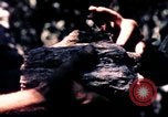 Standbild USA 25th Infantry Division Vietnam, 1967, aus Sekunde 30 historischem Filmmaterial Videoclip 65675052325