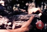 Standbild USA 25th Infantry Division Vietnam, 1967, aus Sekunde 31 historischem Filmmaterial Videoclip 65675052325