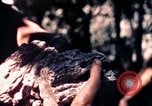 Standbild USA 25th Infantry Division Vietnam, 1967, aus Sekunde 32 historischem Filmmaterial Videoclip 65675052325