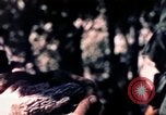 Standbild USA 25th Infantry Division Vietnam, 1967, aus Sekunde 33 historischem Filmmaterial Videoclip 65675052325