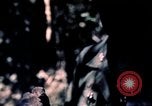 Standbild USA 25th Infantry Division Vietnam, 1967, aus Sekunde 34 historischem Filmmaterial Videoclip 65675052325