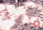 Standbild USA 25th Infantry Division Vietnam, 1967, aus Sekunde 37 historischem Filmmaterial Videoclip 65675052325