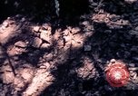 Standbild USA 25th Infantry Division Vietnam, 1967, aus Sekunde 38 historischem Filmmaterial Videoclip 65675052325