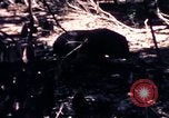 Standbild USA 25th Infantry Division Vietnam, 1967, aus Sekunde 40 historischem Filmmaterial Videoclip 65675052325