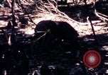 Standbild USA 25th Infantry Division Vietnam, 1967, aus Sekunde 41 historischem Filmmaterial Videoclip 65675052325