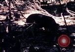 Standbild USA 25th Infantry Division Vietnam, 1967, aus Sekunde 42 historischem Filmmaterial Videoclip 65675052325