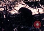 Standbild USA 25th Infantry Division Vietnam, 1967, aus Sekunde 43 historischem Filmmaterial Videoclip 65675052325