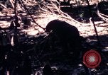 Standbild USA 25th Infantry Division Vietnam, 1967, aus Sekunde 44 historischem Filmmaterial Videoclip 65675052325