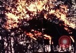 Standbild USA 25th Infantry Division Vietnam, 1967, aus Sekunde 45 historischem Filmmaterial Videoclip 65675052325