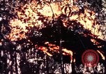Standbild USA 25th Infantry Division Vietnam, 1967, aus Sekunde 46 historischem Filmmaterial Videoclip 65675052325