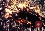 Standbild USA 25th Infantry Division Vietnam, 1967, aus Sekunde 48 historischem Filmmaterial Videoclip 65675052325