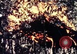 Standbild USA 25th Infantry Division Vietnam, 1967, aus Sekunde 49 historischem Filmmaterial Videoclip 65675052325