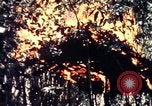 Standbild USA 25th Infantry Division Vietnam, 1967, aus Sekunde 50 historischem Filmmaterial Videoclip 65675052325