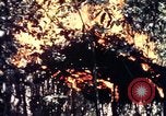 Standbild USA 25th Infantry Division Vietnam, 1967, aus Sekunde 51 historischem Filmmaterial Videoclip 65675052325