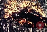 Standbild USA 25th Infantry Division Vietnam, 1967, aus Sekunde 52 historischem Filmmaterial Videoclip 65675052325
