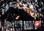 Standbild USA 25th Infantry Division Vietnam, 1967, aus Sekunde 62 historischem Filmmaterial Videoclip 65675052325