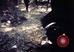 Standbild USA 25th Infantry Division Vietnam, 1967, aus Sekunde 39 historischem Filmmaterial Videoclip 65675052326