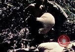 Standbild USA 25th Infantry Division Vietnam, 1967, aus Sekunde 6 historischem Filmmaterial Videoclip 65675052327