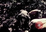 Standbild USA 25th Infantry Division Vietnam, 1967, aus Sekunde 16 historischem Filmmaterial Videoclip 65675052327