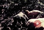 Standbild USA 25th Infantry Division Vietnam, 1967, aus Sekunde 17 historischem Filmmaterial Videoclip 65675052327
