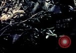 Standbild USA 25th Infantry Division Vietnam, 1967, aus Sekunde 31 historischem Filmmaterial Videoclip 65675052327