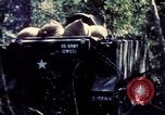 Standbild USA 25th Infantry Division Vietnam, 1967, aus Sekunde 37 historischem Filmmaterial Videoclip 65675052327