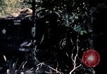 Standbild USA 25th Infantry Division Vietnam, 1967, aus Sekunde 55 historischem Filmmaterial Videoclip 65675052327
