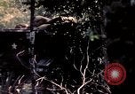 Standbild USA 25th Infantry Division Vietnam, 1967, aus Sekunde 56 historischem Filmmaterial Videoclip 65675052327