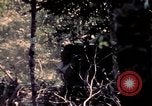 Standbild USA 25th Infantry Division Vietnam, 1967, aus Sekunde 59 historischem Filmmaterial Videoclip 65675052327