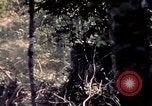 Standbild USA 25th Infantry Division Vietnam, 1967, aus Sekunde 60 historischem Filmmaterial Videoclip 65675052327