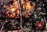 Standbild USA 25th Infantry Division Vietnam, 1967, aus Sekunde 61 historischem Filmmaterial Videoclip 65675052327
