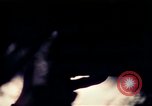 Standbild Vereinigten Staaten Truppen Vietnam, 1967, aus Sekunde 3 historischem Filmmaterial Videoclip 65675052328