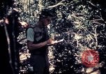 Standbild Vereinigten Staaten Truppen Vietnam, 1967, aus Sekunde 9 historischem Filmmaterial Videoclip 65675052328