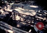 Standbild Vereinigten Staaten Truppen Vietnam, 1967, aus Sekunde 36 historischem Filmmaterial Videoclip 65675052328