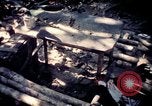 Standbild Vereinigten Staaten Truppen Vietnam, 1967, aus Sekunde 38 historischem Filmmaterial Videoclip 65675052328