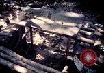 Standbild Vereinigten Staaten Truppen Vietnam, 1967, aus Sekunde 39 historischem Filmmaterial Videoclip 65675052328