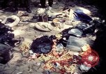 Standbild Vereinigten Staaten Truppen Vietnam, 1967, aus Sekunde 56 historischem Filmmaterial Videoclip 65675052328