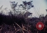 Image 25e Division d'infanterie troupes Vietnam, 1967, de la seconde 35 séquences d'archives historiques vidéo 65675052329
