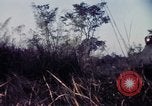Image 25e Division d'infanterie troupes Vietnam, 1967, de la seconde 36 séquences d'archives historiques vidéo 65675052329