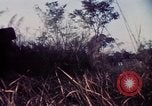 Image 25e Division d'infanterie troupes Vietnam, 1967, de la seconde 41 séquences d'archives historiques vidéo 65675052329