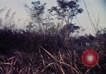 Image 25e Division d'infanterie troupes Vietnam, 1967, de la seconde 42 séquences d'archives historiques vidéo 65675052329