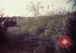 Image 25e Division d'infanterie troupes Vietnam, 1967, de la seconde 43 séquences d'archives historiques vidéo 65675052329