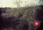 Image 25e Division d'infanterie troupes Vietnam, 1967, de la seconde 44 séquences d'archives historiques vidéo 65675052329