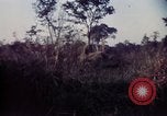 Image 25e Division d'infanterie troupes Vietnam, 1967, de la seconde 59 séquences d'archives historiques vidéo 65675052329